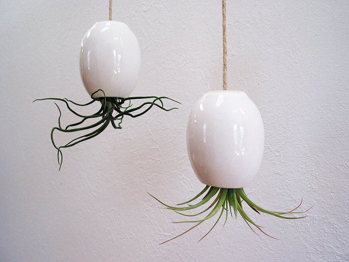 Блестящие белые керамические горшки с комнатными растениями