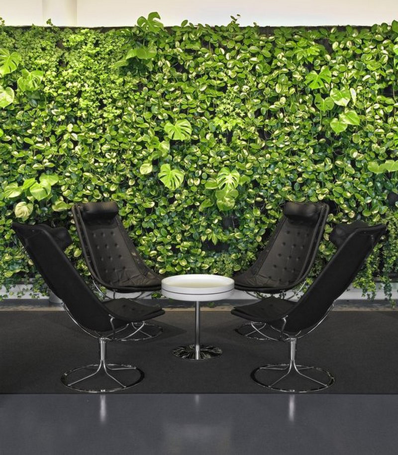 Вертикальное озеленение офисных помещений