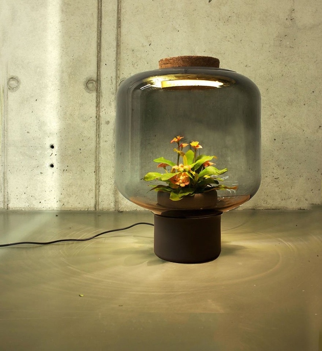 Настольная лампа с живыми цветами