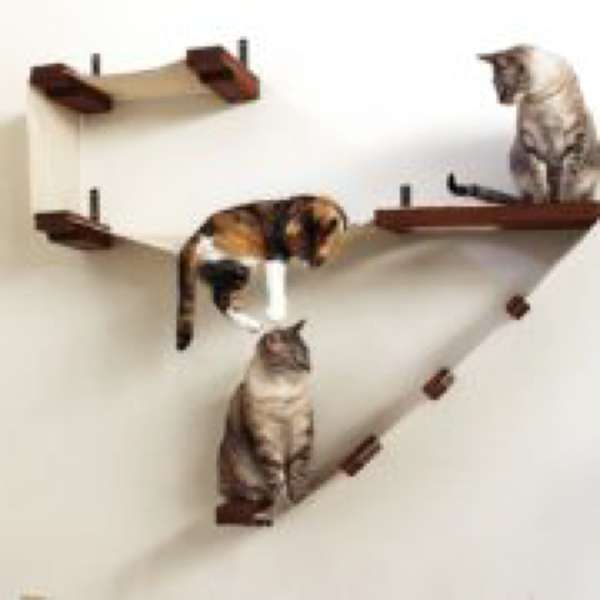 CP-Amazon-CatastrophiCreations-Deluxe-Cat-Playspace-Image-1-180x180